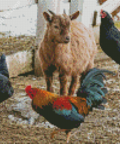 Goats With Chickens Diamond Paintings