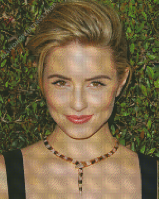 Gorgeous Dianna Agron Diamond Paintings