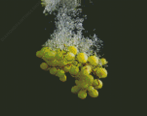 Grapevines In Water Diamond Paintings