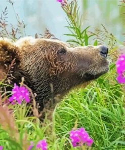 Grizzly Bear In Field Of Flowers Diamond Paintings
