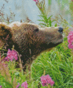 Grizzly Bear In Field Of Flowers Diamond Paintings