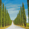 Italian Cypress Trees Diamond Paintings