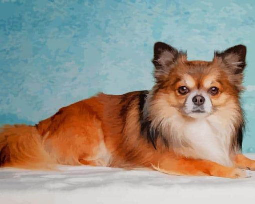 Long Haired Chihuahua Diamond Paintings