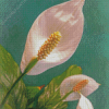 Peace Lily Flowers Diamond Paintings