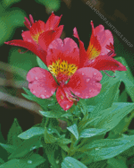 Pink Alstroemeria Diamond Paintings