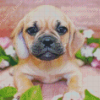 Puggle Puppy Diamond Paintings