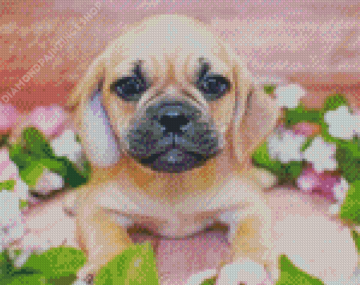 Puggle Puppy Diamond Paintings