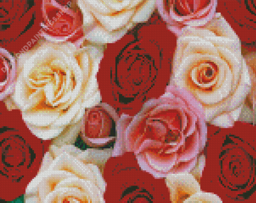 Red Pink And White Roses Diamond Paintings