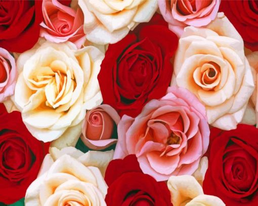 Red Pink And White Roses Diamond Paintings