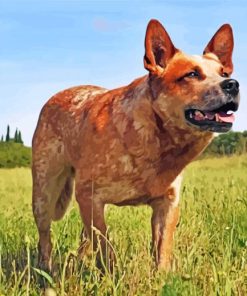 Australian Cattle Dog Diamond Paintings
