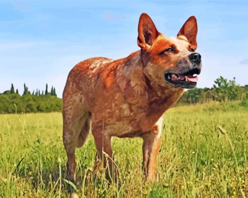 Australian Cattle Dog Diamond Paintings