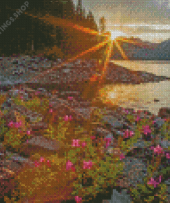 Sunrise At Rawson Lake Alberta Diamond Paintings