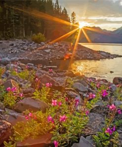 Sunrise At Rawson Lake Alberta Diamond Paintings