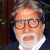 The Actor Amitabh Bachchan Diamond Paintings