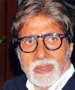 The Actor Amitabh Bachchan Diamond Paintings