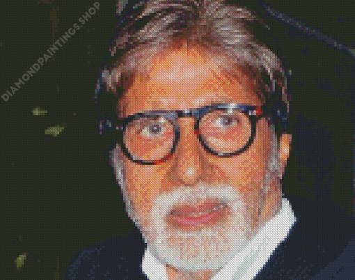 The Actor Amitabh Bachchan Diamond Paintings