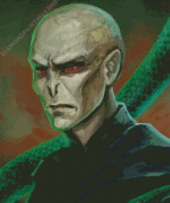 Voldemort Illustration Diamond Paintings