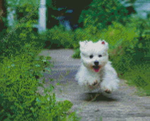 West Highland Terrier Dog Runing Diamond Paintings