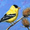 Yellow Finch Art Diamond Paintings
