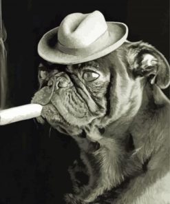 Black And White Bulldog Smoking Cigar Diamond Paintings