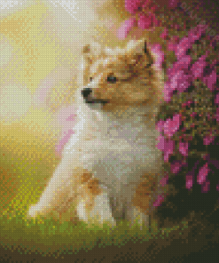 Blonde Border Collie Puppy Diamond Paintings