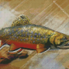 Brook Trout Fish Underwater Diamond Paintings