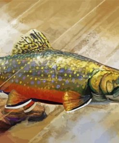 Brook Trout Fish Underwater Diamond Paintings