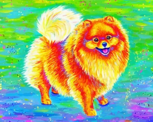 Colorful Pomeranian Art Diamond Paintings