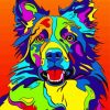 Colorful Border Collies Dog Diamond Paintings