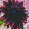 Dark Pink Sunflower Diamond Paintings