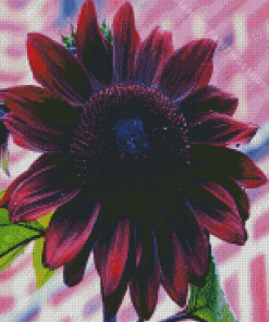 Dark Pink Sunflower Diamond Paintings