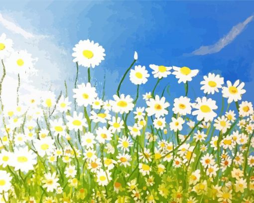 Field Of Daisies Art Diamond Paintings