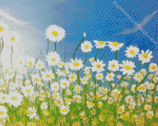 Field Of Daisies Art Diamond Paintings