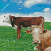 Irish Countryside Cows Diamond Paintings