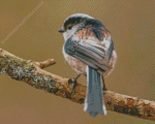 Long Tailed Tit Bird Back Diamond Paintings