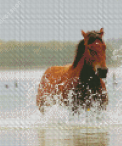 Mare Horse In Water Diamond Paintings