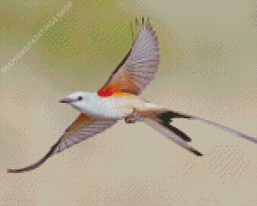 Oklahoma Flycatcher Bird Flying Diamond Paintings