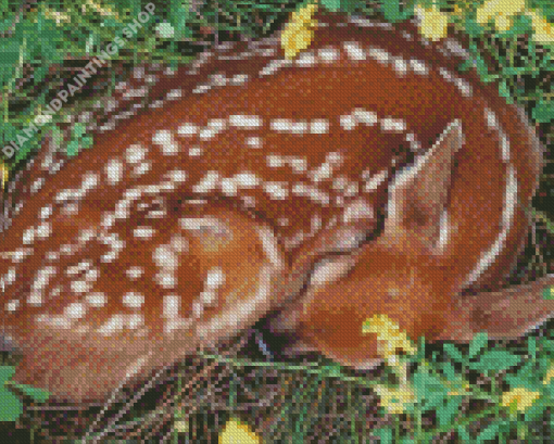 Resting Deer Diamond Paintings