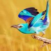 Roller Bird Eating Ant Diamond Paintings