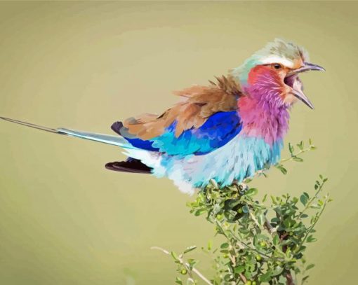 Roller Bird Vocalization Diamond Paintings