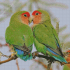 Rosy Faced Lovebird On Stick Diamond Paintings