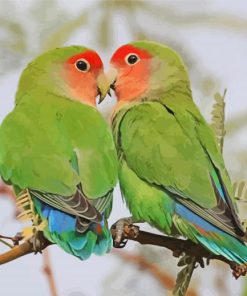 Rosy Faced Lovebird On Stick Diamond Paintings