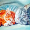 Sleepy Cat And Kitten Snuggling Diamond Paintings