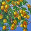 The Lemon Tree Diamond Paintings