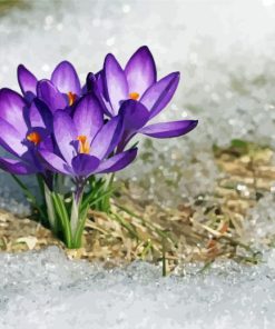 Spring Flower In Snow Diamond Paintings