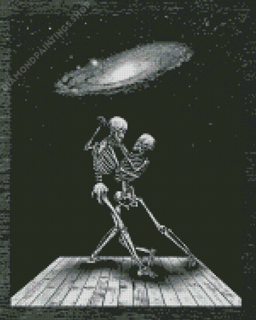 Black And White Love Skeleton Diamond Paintings