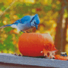 Bluebird In Autumn Diamond Paintings