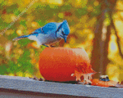 Bluebird In Autumn Diamond Paintings