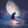 Cat And Moon Diamond Paintings
