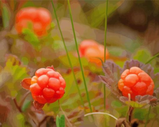 Cloudberries Diamond Paintings